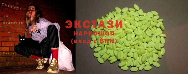 крисы Богородицк