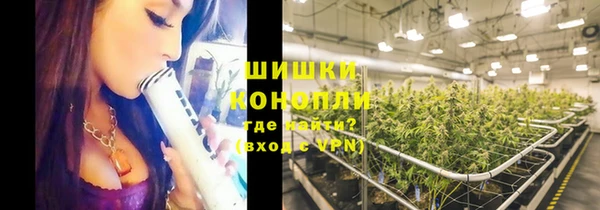 крисы Богородицк