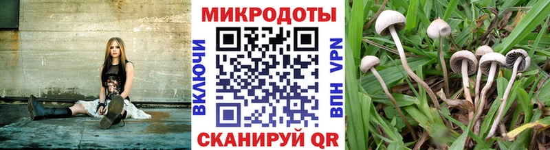 как найти наркотики hydra мориарти официальный сайт Обь Псилоцибиновые грибы мухоморы